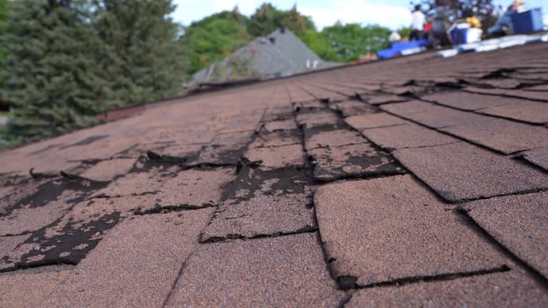 Fast & Reliable Emergency Roof Repairs in Ancient Oaks, PA